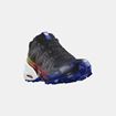 Picture of SALOMON SPEEDCROSS 6 GTX